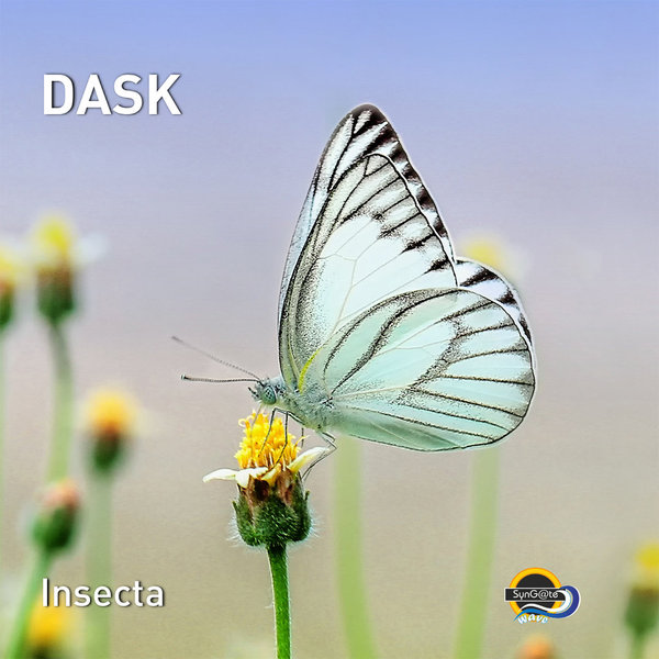 DASK - Insecta